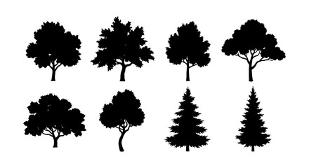 Black tree silhouettes collection, set of 8 deciduous and coniferous tree vector icons, forest plant shapes for landscape design and mapping © Rohan