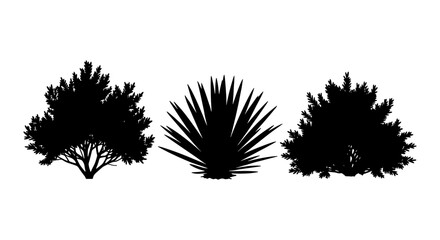 Black shrub silhouettes set, botanical bush and agave plant vector icons, garden greenery and desert vegetation elements for landscape design © Rohan