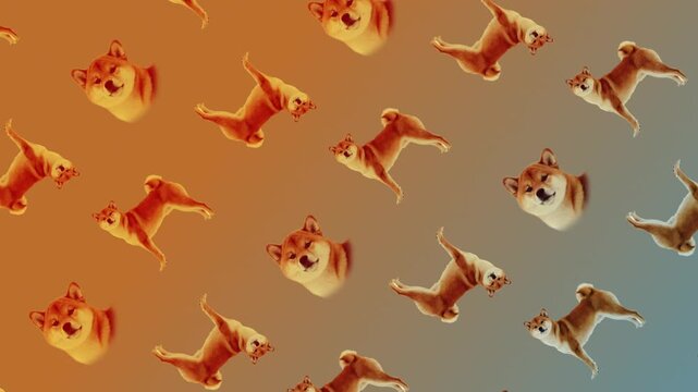 4K, dog, rotating, pattern animation, loopable