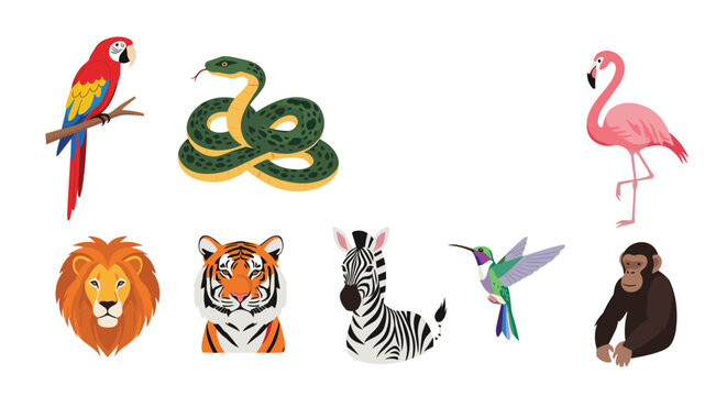 Set of animal illustrations including tiger lion zebra flamingo parrot snake and chimpanzee for wildlife education.