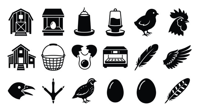 Comprehensive collection of poultry farm and egg production related icons, ideal for educational materials, agricultural business branding, or rustic design applications