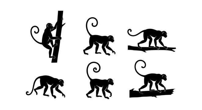Black monkey silhouette collection, set of 6 primate vector icons, wild macaque and chimpanzee shapes climbing and walking on branches