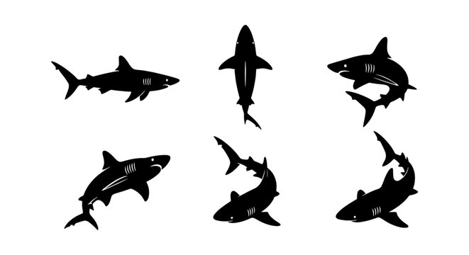 Shark silhouette vector set, great white shark swimming in different poses, 6 black marine predator icons isolated on white background