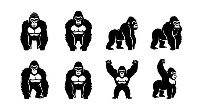 Gorilla mascot vector set, 8 powerful black and white ape icons, silverback primate silhouettes for sports logos and gym branding