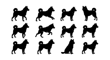 Fototapeta premium Shiba Inu dog silhouettes collection, 12 black canine vector elements, Japanese Akita and Husky breed poses, pet animal profile icons