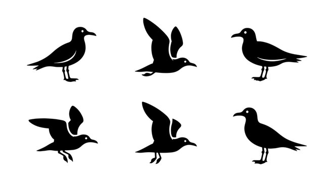 Seagull silhouette vector set, black sea bird icons in flying and standing poses, 6 nautical gull elements for coastal design and beach logos