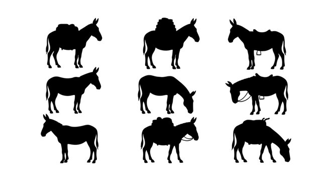 Donkey silhouette vector set, 9 pack animal icons with saddles and luggage, farm mule and burro silhouettes for agriculture and travel design