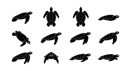 Obraz premium Sea turtle silhouette collection, 12 black marine animal icons, aquatic reptile vector set, swimming ocean turtle graphics for conservation logos