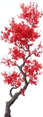 Fototapeta premium Vibrant Red Blossom Tree with Artistic Style and Unique Shape