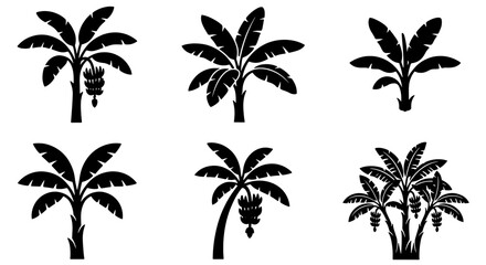 Tropical banana tree silhouette collection, set of 6 exotic palm plant icons, black botanical fruit tree vectors for summer vacation and jungle design © Moniya