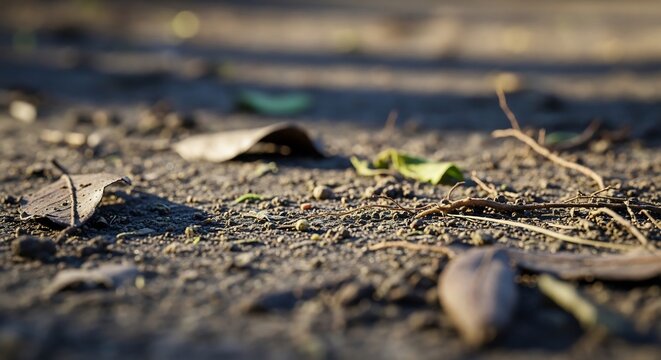 Close up of dry leaves and twigs on the ground.