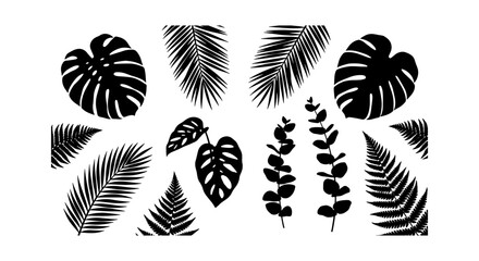 Tropical leaf silhouettes collection, black palm and monstera foliage vector set, exotic botanical plant elements for summer design © Mithi