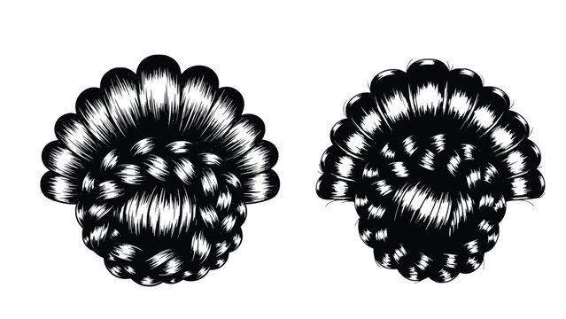 Detailed black and white illustrations of intricately designed knots