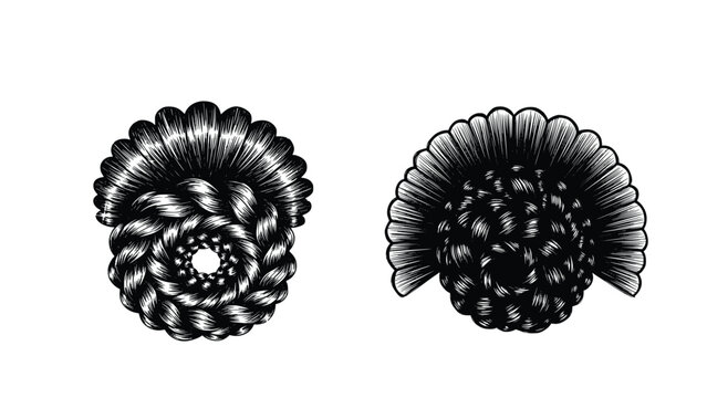 Black and white illustrations of two intricately designed hair buns with braids and twisted rope-like patterns on a white background