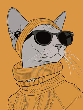 Stylish Sphynx Cat in Yellow Outfit and Sunglasses
