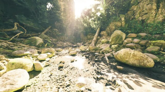 Shallow rocky stream glowing in sunlight, clear water trickling over stones, sunbeams creating reflections, scattered boulders, warm lively yet peaceful flow.
