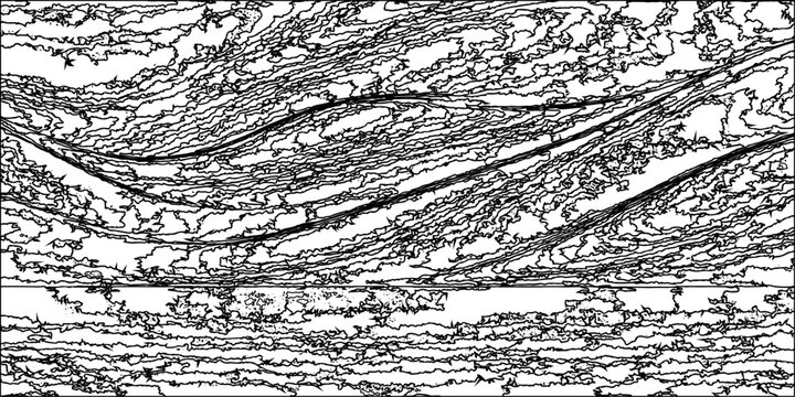 A rough black and white tree bark texture creates an old grunge pattern from the winter forest nature, featuring a cold textured surface perfect for a rustic wood or stone art wallpaper