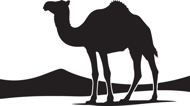 Camel Silhouette Walking in Desert Dunes, Minimal Wildlife Desert Animal Vector Illustration