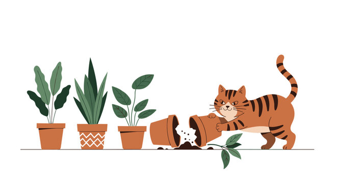 Mischievous ginger tabby cat knocks over a terracotta flower pot while other healthy houseplants remain in a row.