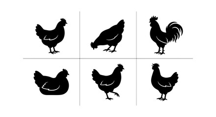 Black chicken silhouette collection, set of 6 poultry bird icons, farm animal rooster and hen silhouettes, minimalist livestock vector graphics © Md