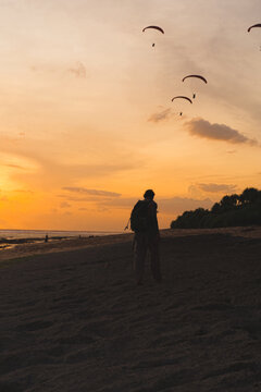 Silhouette of man watching paragliders at golden sunset, Bali