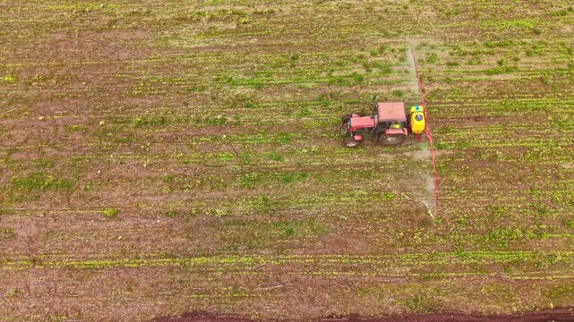 A tractor is preparing the land for planting seeds. The machine is moving across the field, making lines in the soil. This activity happens in a rural area during early morning hours.
