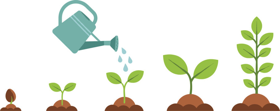 Plant Growth Cycle Vector Illustration Set with Seed Germination, Sprouting Seedling, Watering Can, and Mature Plant Stages for Gardening and Education