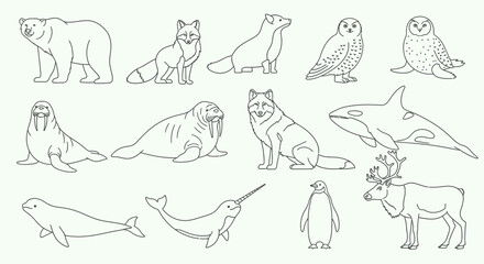 Obraz premium Collection of Arctic marine animals illustrations.