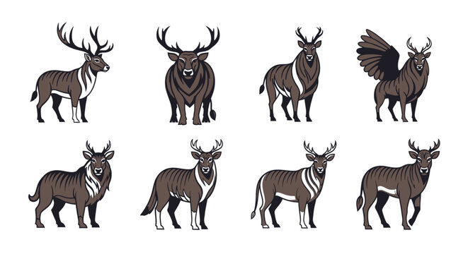 Collection of various deer species.