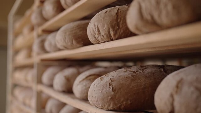 Freshly baked bread loaves on wooden shelves in bakery, artisanal bread production.