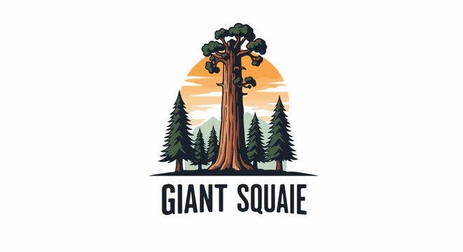 Giant redwood tree with surrounding evergreens and sunset mountain backdrop