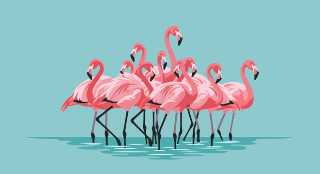 Flock of vibrant pink flamingos wading in tranquil blue water