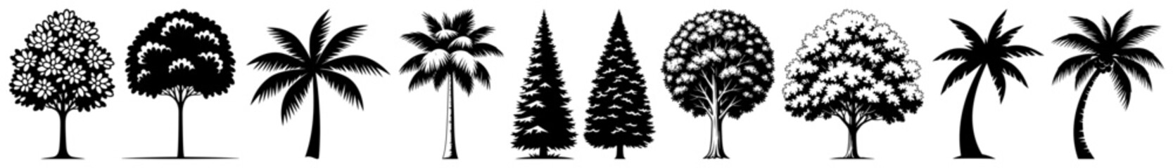 Tree silhouettes and nature landscape elements set in hand drawn engraving style © Kumamoto