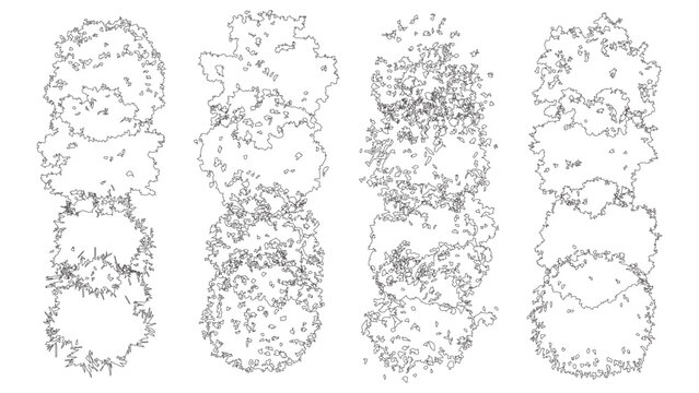 Architectural tree plan symbols set for landscape design garden mapping and master plans.