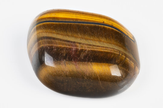 Arrangement of ancient fossils combined with colorful gemstone displays. An exhibition featuring preserved fossils alongside vibrant and polished gemstone collections for viewing