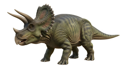 Fototapeta premium Detailed model of a triceratops dinosaur with realistic features