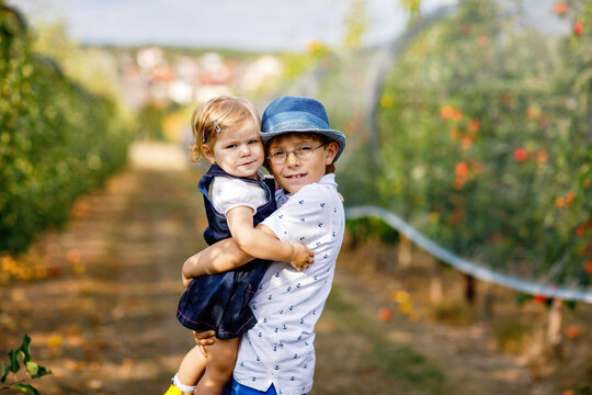 Older brother holding his little sister in an apple orchard, smiling together during harvest season, warm natural light, real life family childhood moment. Happy siblings, boy and toddler girl