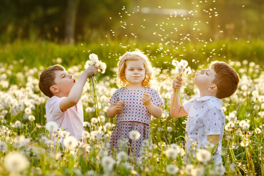 Two kids boys and little baby girl blowing on a dandelion flowers on the nature in the summer. Happy healthy toddler and school children with blowballs, having fun. Family of three love, together