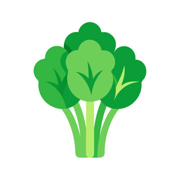 Healthy green broccoli florets with thick stems isolated on checkered background, flat design