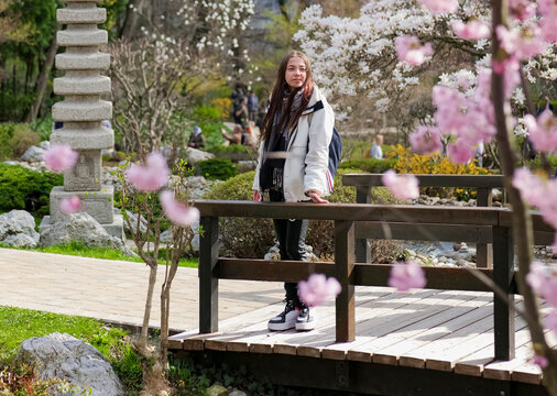 Woman enjoying cherry blossoms in a tranquil Japanese garden. Early nature awakening.