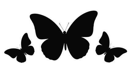 Three butterflies in flight a striking black silhouette © Hiron