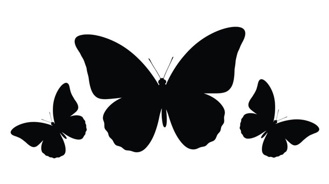 Three butterflies in flight a striking black silhouette