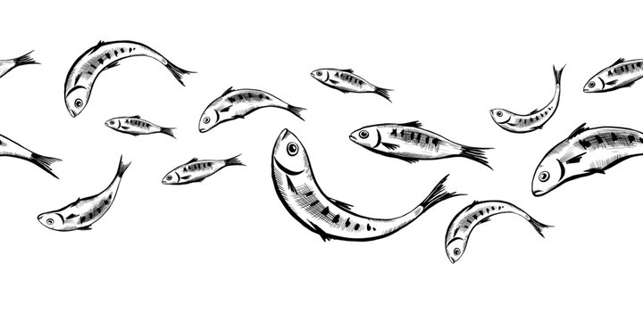 Sardine fish seamless border in minimalist black and white vector line art. Repeating school of fishes for mediterranean food packaging, seafood menu frame, ribbon print and nautical decoration