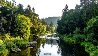 Fototapeta premium A serene river flows through a vibrant forest, reflecting the surrounding lush greenery and sunlight. The scene depicts natural beauty