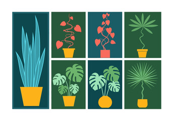Minimalist Houseplant Vector Illustration Set, Mid-Century Modern Botanical Art Collection with Monstera, Snake Plant, and Decorative Vines © Elen