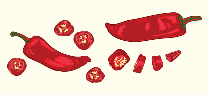 Red Jalape&ntilde;o Set with Whole and Sliced Chili Pepper Composition