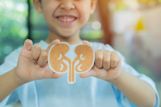 Selective focus of smiling boy with paper of the kidneys on his hands at home