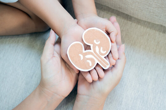 Woman's and son's holding kidney shaped paper. National Organ Donor Day.