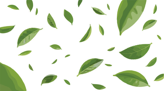 Seamless pattern of green leaves flying in air, natural foliage background with fresh botanical elements, eco friendly design for wallpaper, textile, and packaging