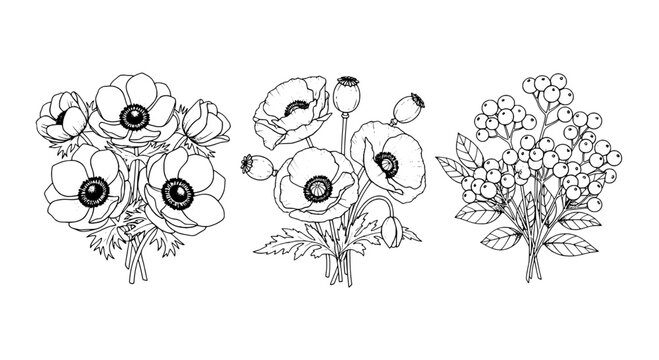 Bouquet floral line art set with daisy blossoms, wheat stalks, and berries arranged on three separate stems